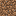 Minecraft Seed Viewer & Biome Finder